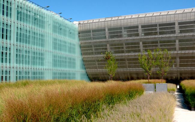 Roof garden with ornamental grasses